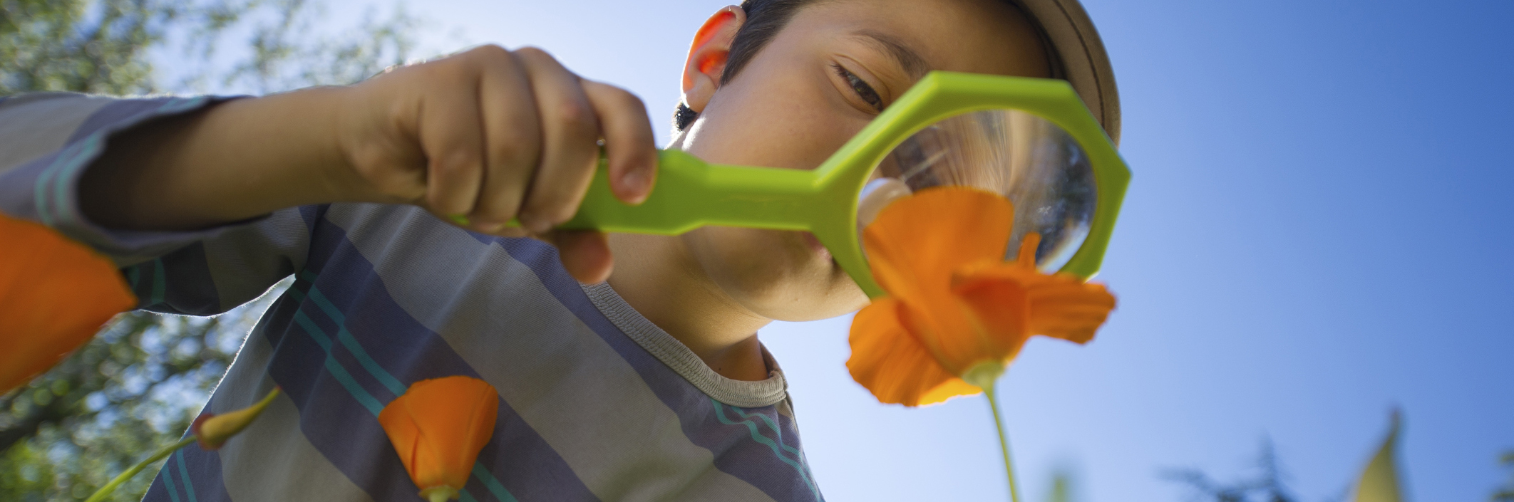 SCIENCE boy magnifying SCIENCE boy magnifying